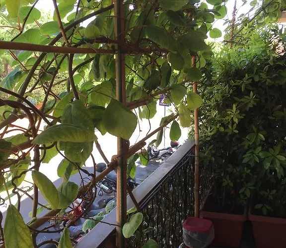La Fontana Di Carlotta Bed & Breakfast Rome